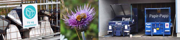 Dekorbilde med container, bur og blomst med humle. Dekorbilde